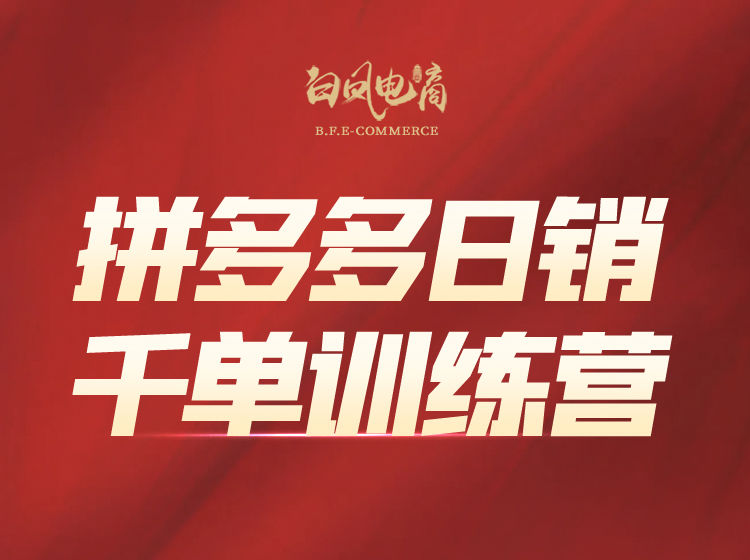 【白凤电商:拼多多付费推广进阶玩法】第39期(2025年8月更新)-惠声网赚