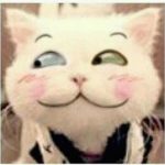 惠声网赚的头像-惠声网赚