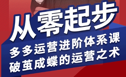 拼多多运营进阶系统课，从零起步，多多运营进阶体系课，破茧成蝶的运营之术(更新9月)-惠声网赚