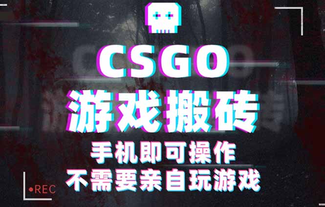 CSGO游戏挂机捡漏，单日扫货500+，年底小高峰上车可吃肉，手机即可操作...-惠声网赚