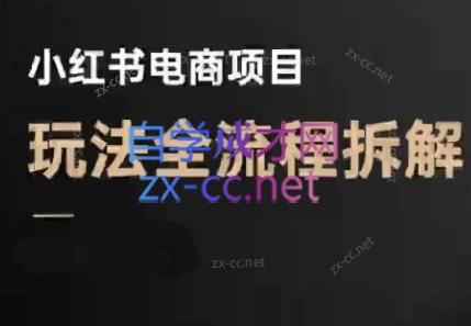 菲菲老师·小红书电商玩法(更新9月)-惠声网赚