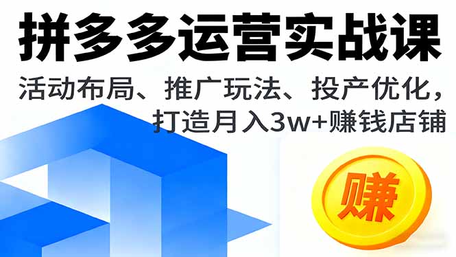 拼多多运营实战课，活动布局、推广玩法、投产优化，打造月入3w+赚钱店铺-惠声网赚
