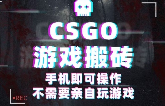 CSGO游戏挂G捡漏，单日扫货5张+，年底小高峰上车可吃肉，手机即可操作，兼职副业创业网创【揭秘】-惠声网赚