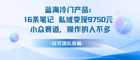蓝海项目：16条笔记私域变现9750米小众赛道操作的人不多-惠声网赚