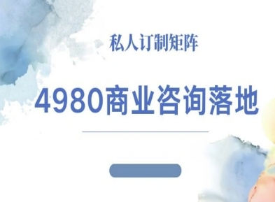 4980商业咨询师落地课程-ip运营高客单教程-惠声网赚