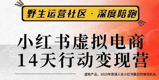 小红书虚拟电商14天变现训练营3.0，​虚拟产品，2025年普通人在小红书最后的搞钱机会-惠声网赚