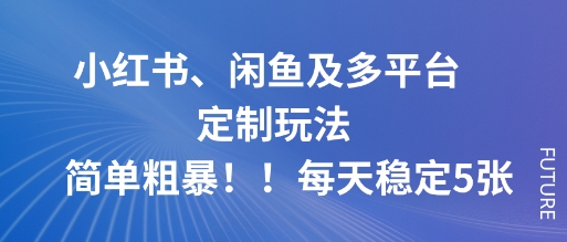 小红书、闲鱼及多平台定制玩法简单粗暴！每天稳定5张-惠声网赚