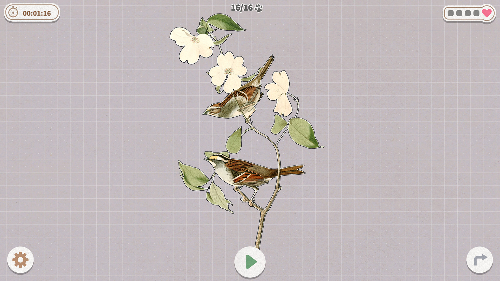 《挤在一起的鸟鸟/Birds Huddled Together》PC中文版下载-含Build.14298719-惠声网赚