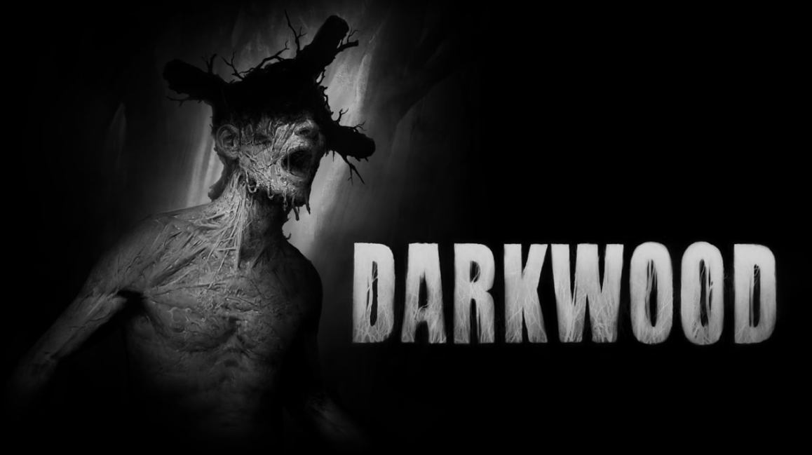 《阴暗森林 Darkwood》Switch中文版NSP下载-惠声网赚