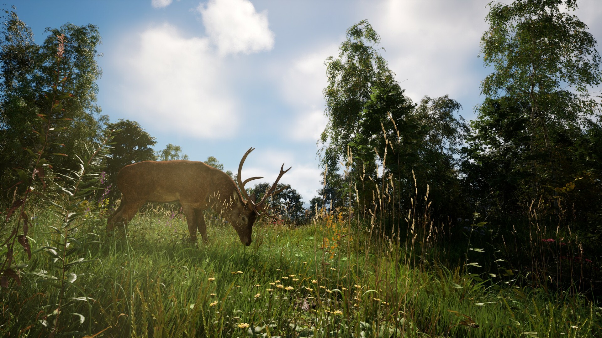 《恐惧地带/DREADZONE》PC中文版下载-含v1.5.5.1-惠声网赚