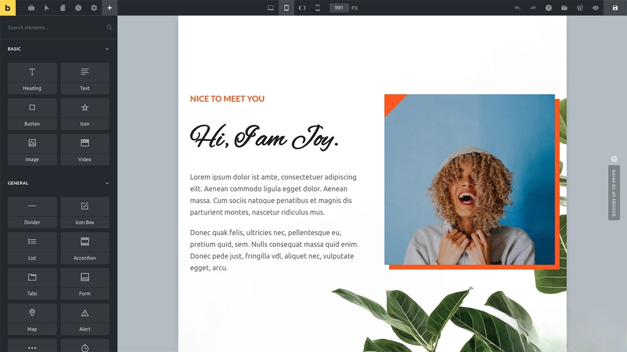 WordPress主题Bricks v1.9 破解版-惠声网赚