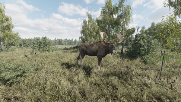 《猎捕行动/On the Hunt》PC中文版下载-含Build.20557498-惠声网赚