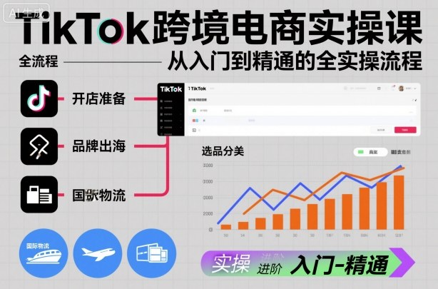 TikTok跨境电商实操课，从入门到精通的全实操流程-惠声网赚