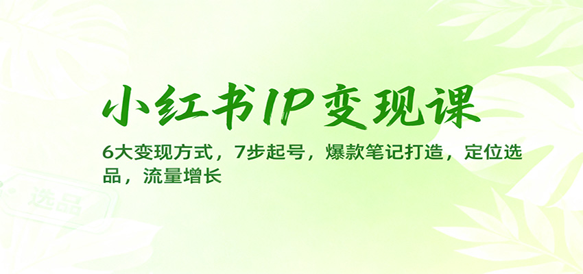 小红书IP变现课：6大变现方式，7步起号，爆款笔记打造，定位选品，流量增长-惠声网赚