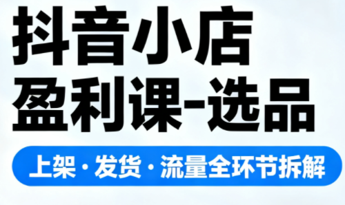 抖音小店盈利课-选品·上架·发货·流量全环节拆解-惠声网赚