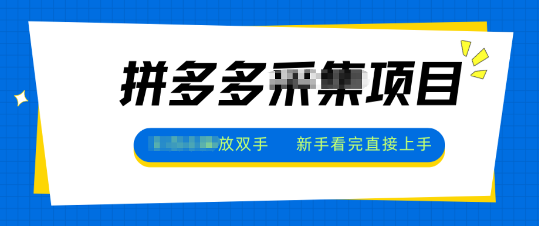 拼多多电商采集，一小时50+，操作简单，零投资-惠声网赚