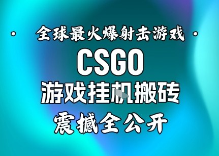【年底大揭秘】基于全球最火爆的射击CSGO游戏挂G搬砖，日入5张+，震撼公开-惠声网赚