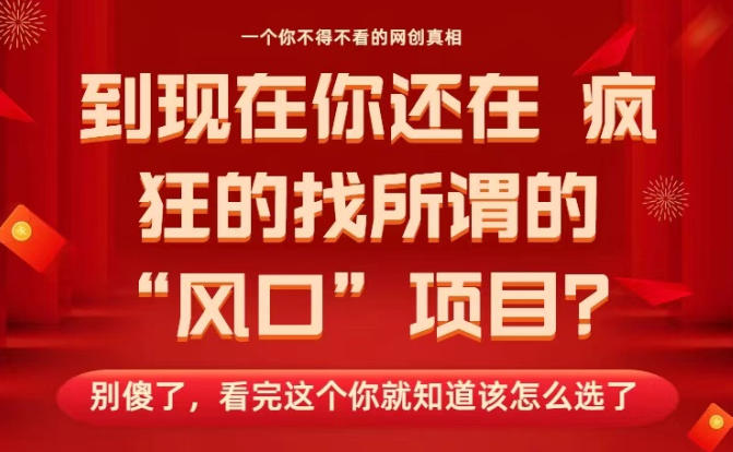马上26年了，你还在找所谓的风口项目？别傻了，看完这个你全都懂了！【揭秘】-惠声网赚