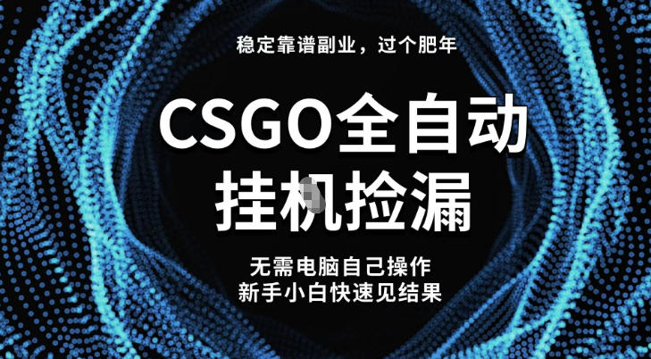 【稳定副业】全球最热门游戏CSGO全自动捡漏，最新玩法，新手小白日入5张+【揭秘】-惠声网赚