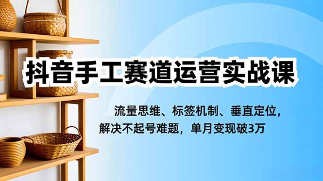 抖音手工赛道运营实战课，流量思维、标签机制、垂直定位，解决不起号难题，单月变现破3万-惠声网赚