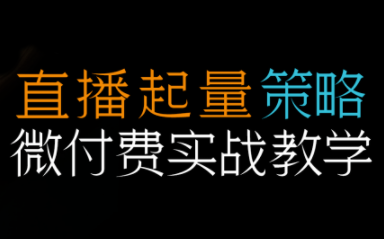 半野老师·直播带货起量与微付费必学课视频号-惠声网赚