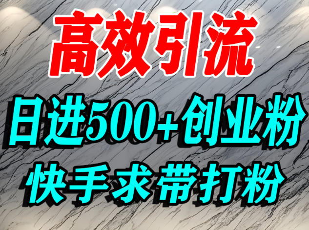 怎么打创业粉？快手求带视角精准引流创业粉，宝妈、学生群体日进500+精准流量-惠声网赚