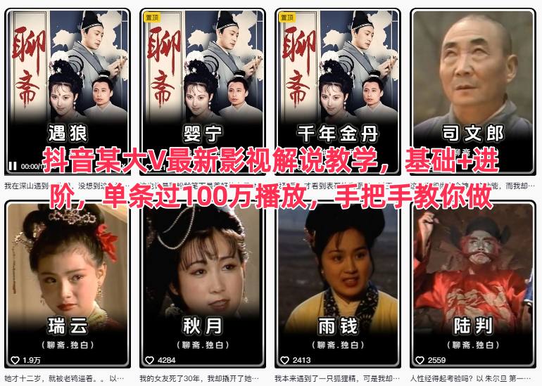 抖音某大V最新影视解说教学，基础+进阶，单条过100万播放，手把手教你做-惠声网赚