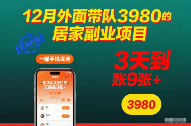 12月外面带队3980的居家副业项目，一部手机实测3天到账9张+，首发教程【揭秘】-惠声网赚