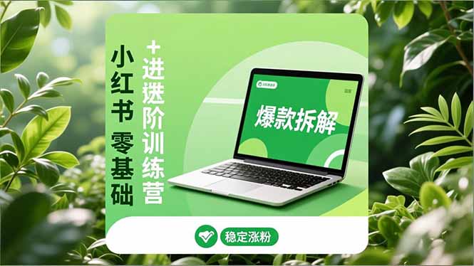 小红书零基础+高阶训练营：安全养号、爆款拆解、长效运营，实现稳定涨粉与变现-惠声网赚