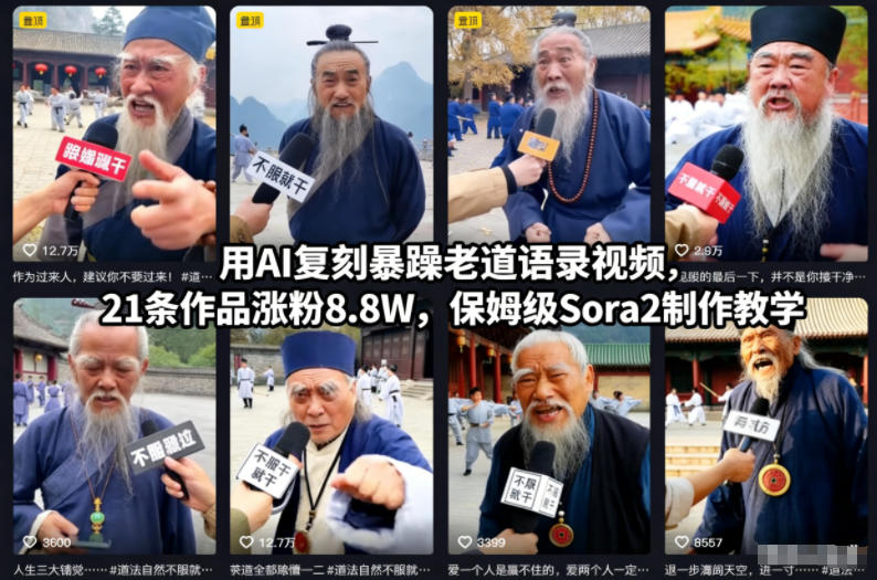 用AI复刻暴躁老道语录视频，21条作品涨粉8.8W，保姆级Sora2制作教学-惠声网赚