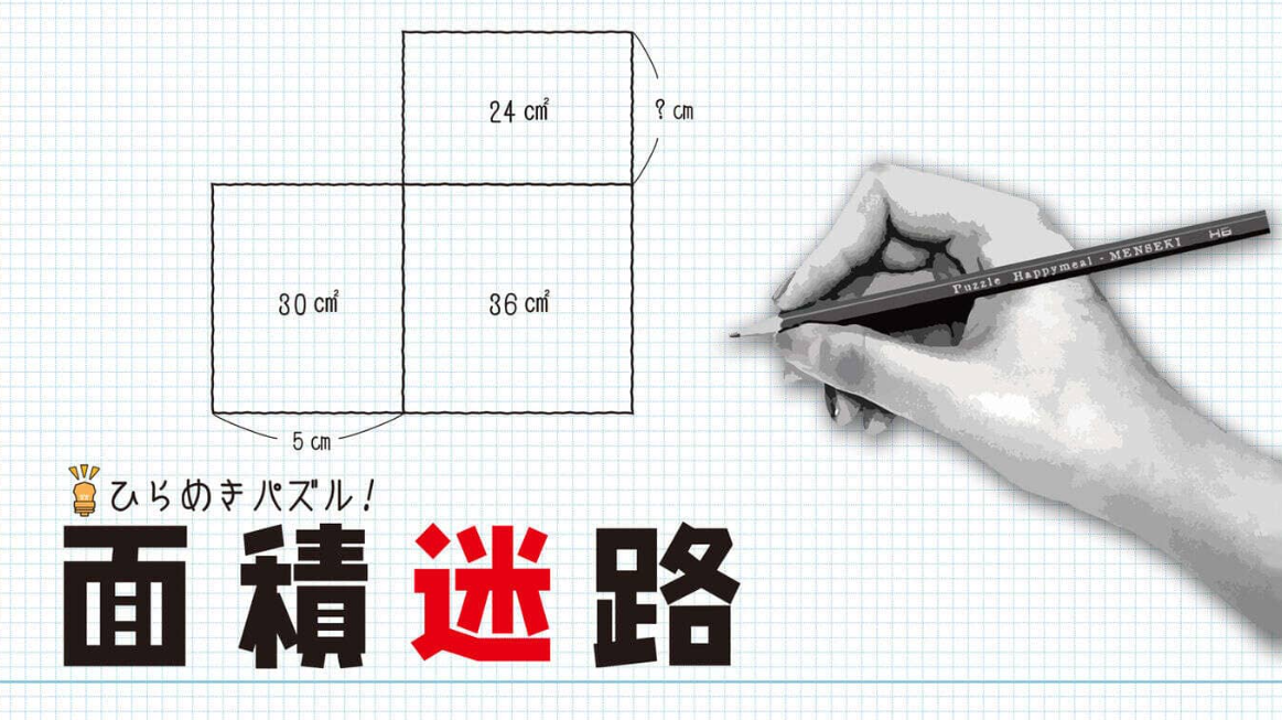 《闪烁的拼图 面积迷宫 MENSEKI Area maze puzzles》Switch英日文版NSZ下载-惠声网赚