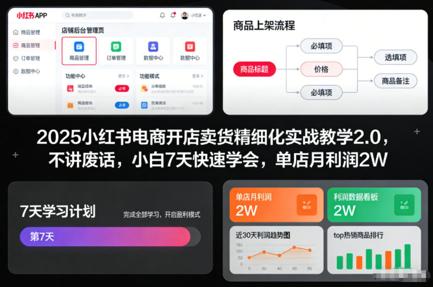 2025小红书电商开店卖货精细化实战教学2.0，不讲废话，小白7天快速学会，单店月利润2W-惠声网赚