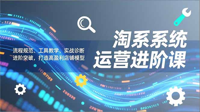 淘系系统运营进阶课2.0，流程规范、工具教学、实战诊断，进阶突破，打造高盈利店铺模型-惠声网赚
