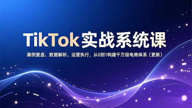 TikTok实战系统课，案例复盘、数据解析、运营执行，从0到1构建千万级电商体系(更新-惠声网赚