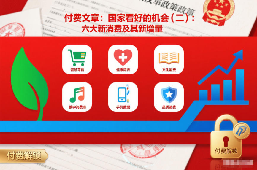 付费文章：国家看好的机会(二)：六大新消费及其新增量-惠声资源站