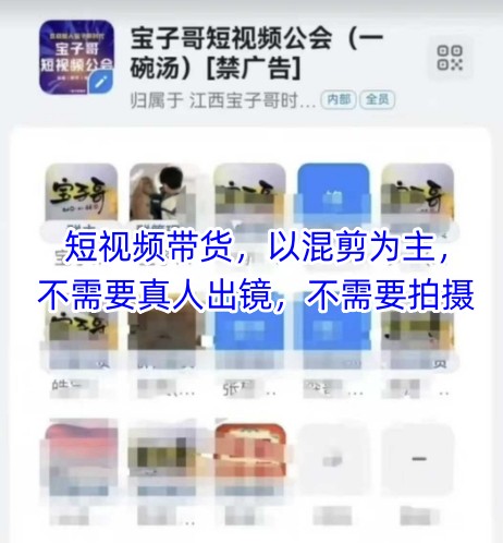 宝子哥头部团队短视频带货，以混剪为主，不需要真人出镜，不需要拍摄【更新12月】-惠声资源站