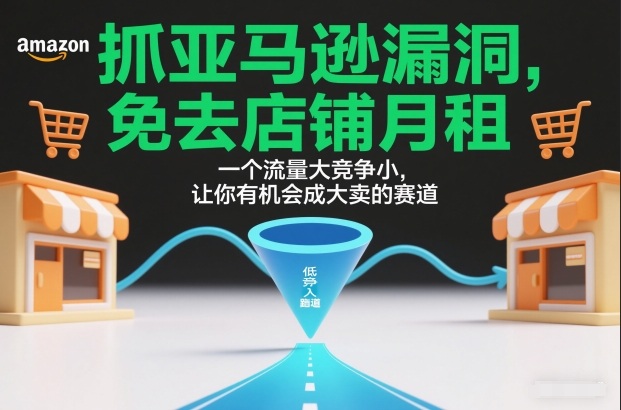 抓亚马逊漏洞，免去店铺月租，一个流量大竞争小，让你有机会成大卖的赛道-惠声资源站