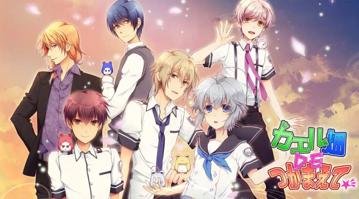 《蛙畑奇事 カエル畑DEつかまえて 乙女》Switch日文版XCI下载 – 含1.0.0补丁-惠声资源站