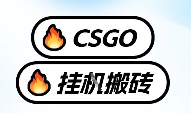 真全网独家CSGO挂G，最新玩法,单日捡漏1K+，不用电脑，不用打游戏【揭秘】-惠声资源站