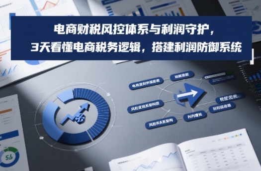 电商财税风控体系与利润守护，3天看懂电商税务逻辑，搭建利润防御系统-惠声资源站