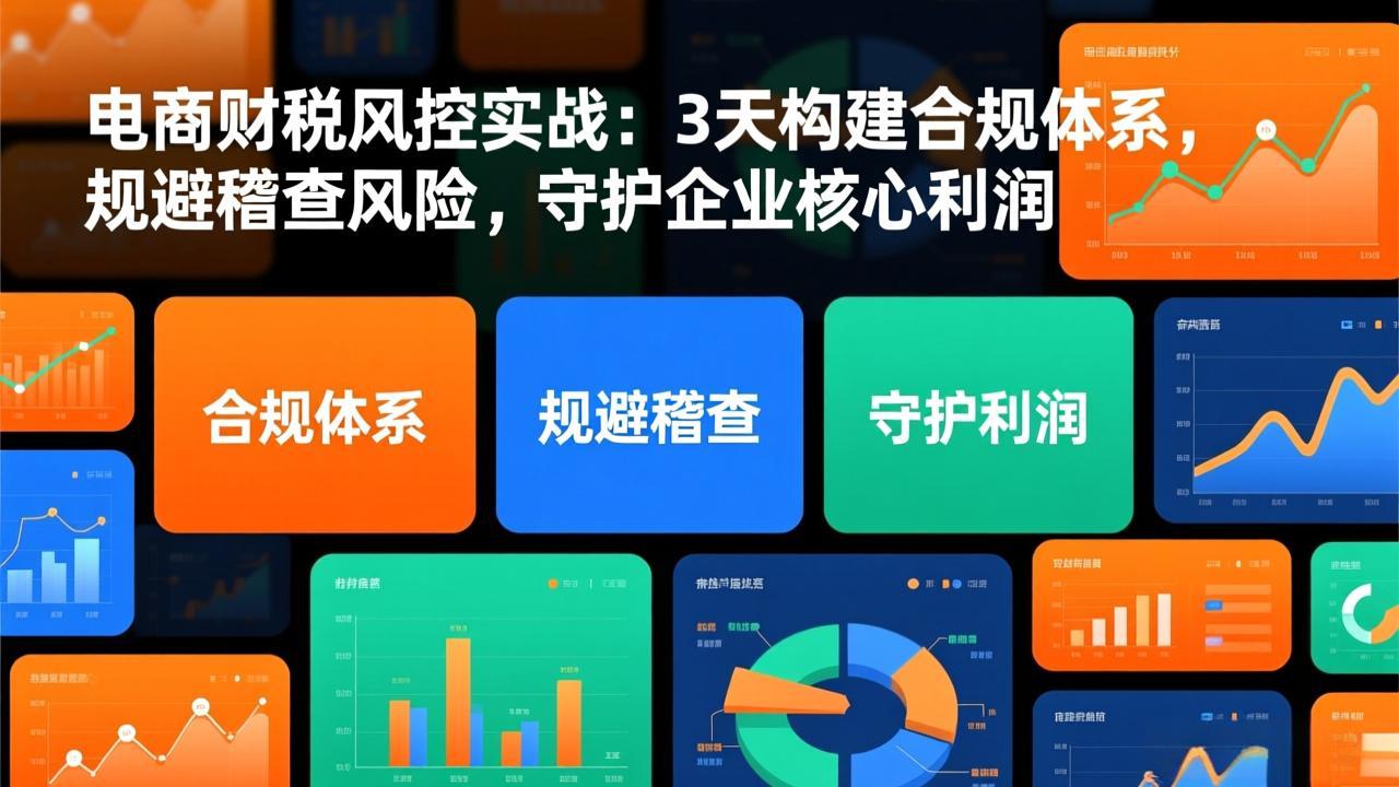 电商财税风控实战：3天构建合规体系，规避稽查风险，守护企业核心利润-惠声资源站