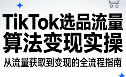 TikTok选品流量算法变现实操-惠声资源站