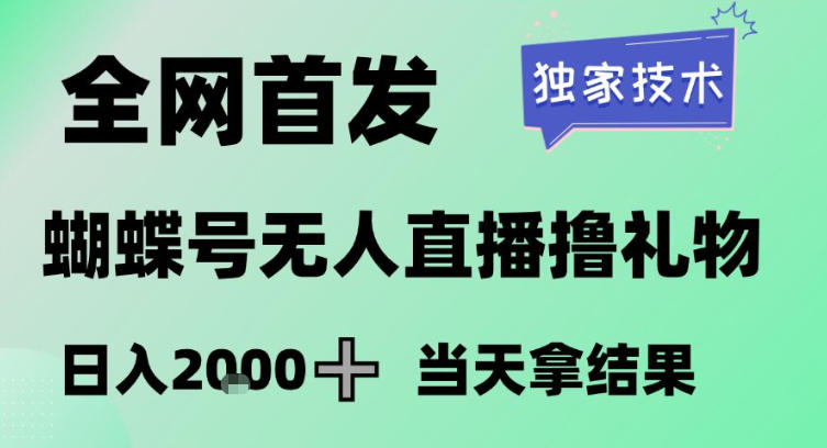 2026最新蝴蝶号无人直播掘金，独家技术，全网首发小白做了一个月收益3W，长期稳定可做【揭秘】-惠声资源站