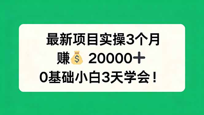 最新项目实操3个月，赚钱20000+，0基础小白3天学会！-惠声资源站