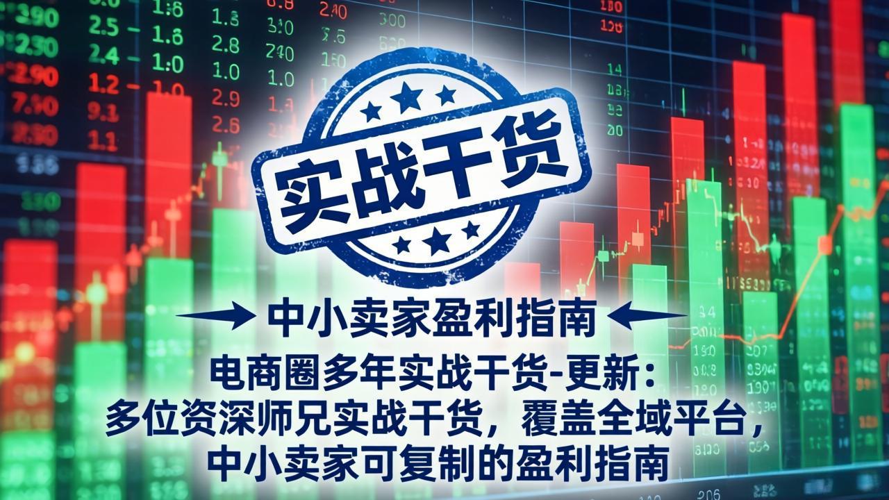 电商圈多年实战干货-更新4月：多位资深师兄实战干货，覆盖全域平台，中小卖家可复制的盈利指南-惠声资源站