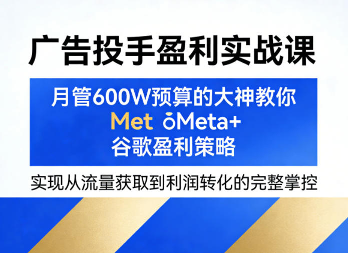 广告投手盈利实战课，月管600W预算的大神教你Meta+谷歌盈利策略，实现从流量获取到利润转化的完整掌控-惠声资源站
