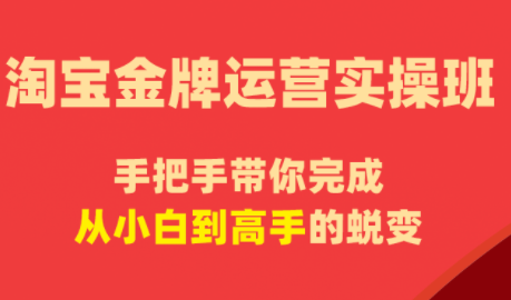 飓风电商·淘宝金牌运营实操班-惠声资源站