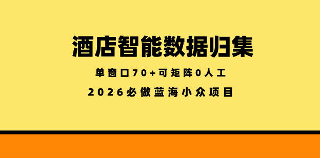 酒店智能数据归集，小众蓝海已经稳定半年之久，单窗口70+零成本矩阵开干【揭秘】-惠声资源站