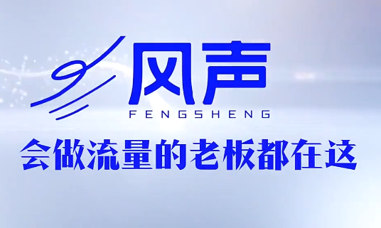 董十一·风声短视频AI获客年度会员-惠声资源站