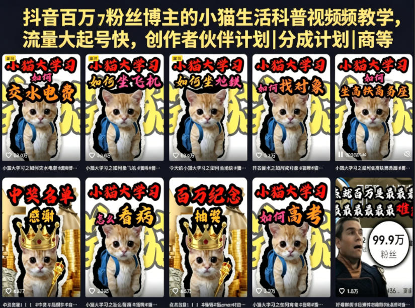 抖音百万粉丝博主的小猫生活科普视频教学，流量大起号快，创作者伙伴计划|分成计划|商单|收徒等-惠声资源站